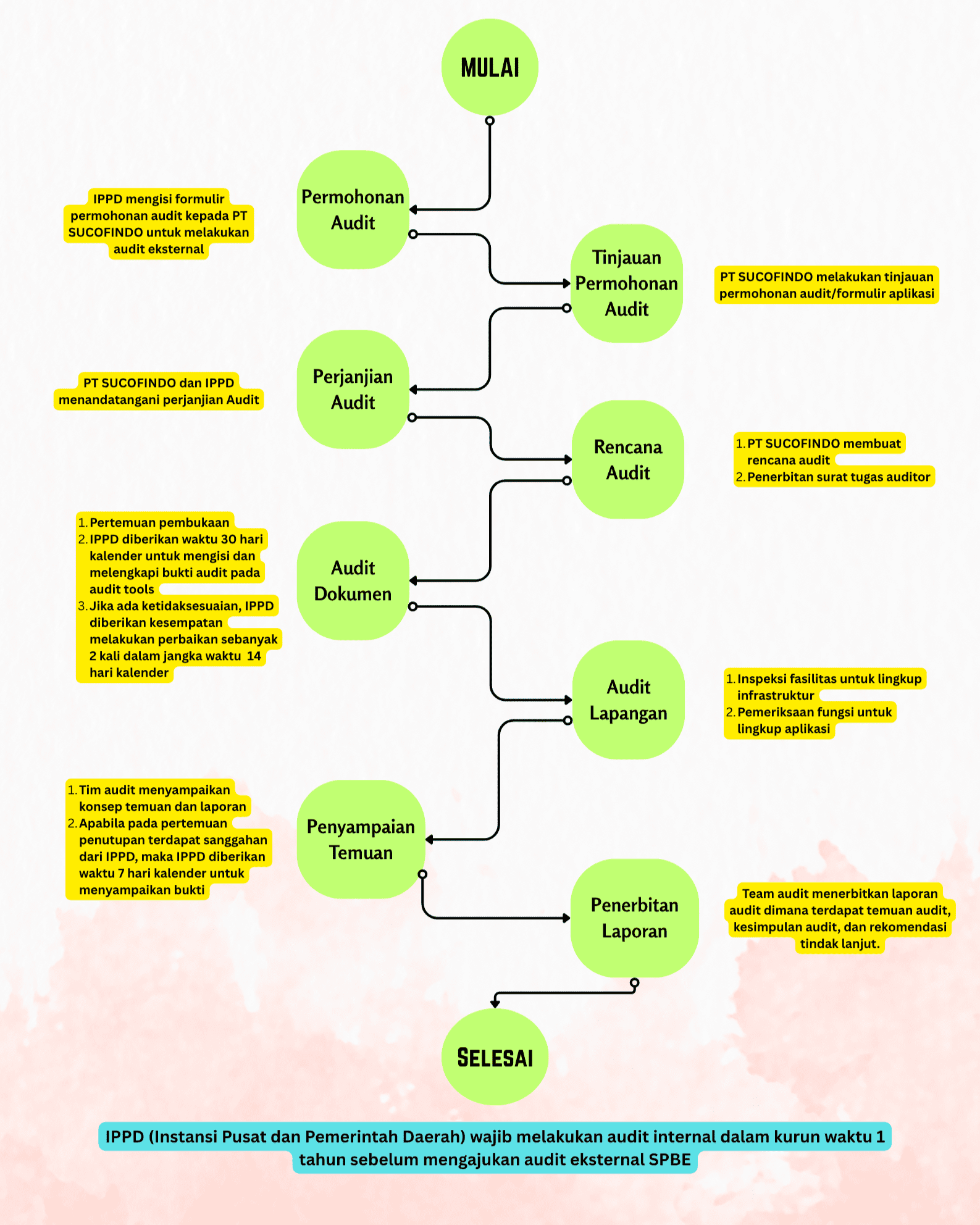 Electronic-Based Government System (SPBE) Audit Services